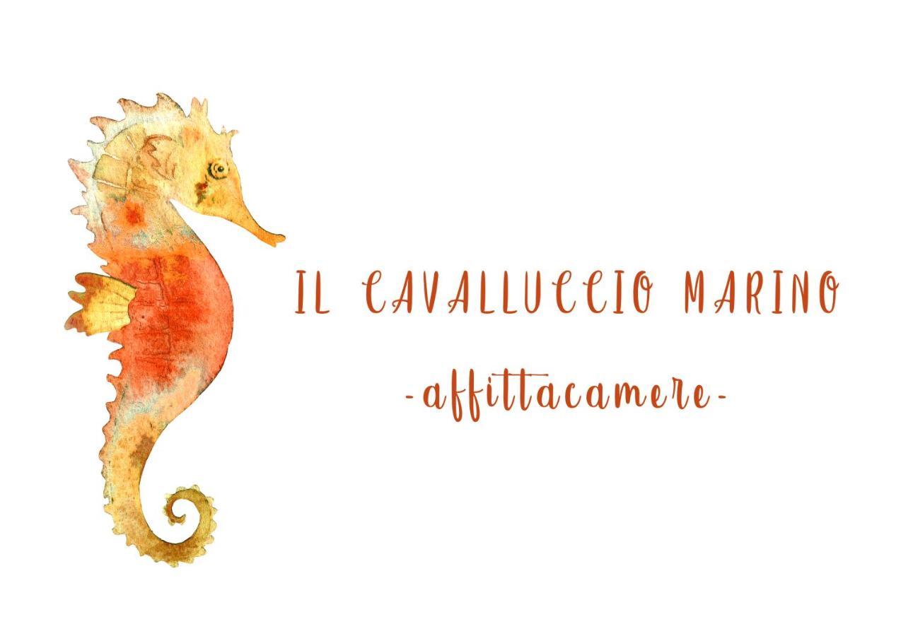 Il Cavalluccio Marino Manarola Esterno foto