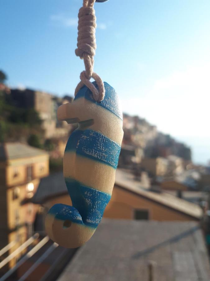 Il Cavalluccio Marino Manarola Esterno foto