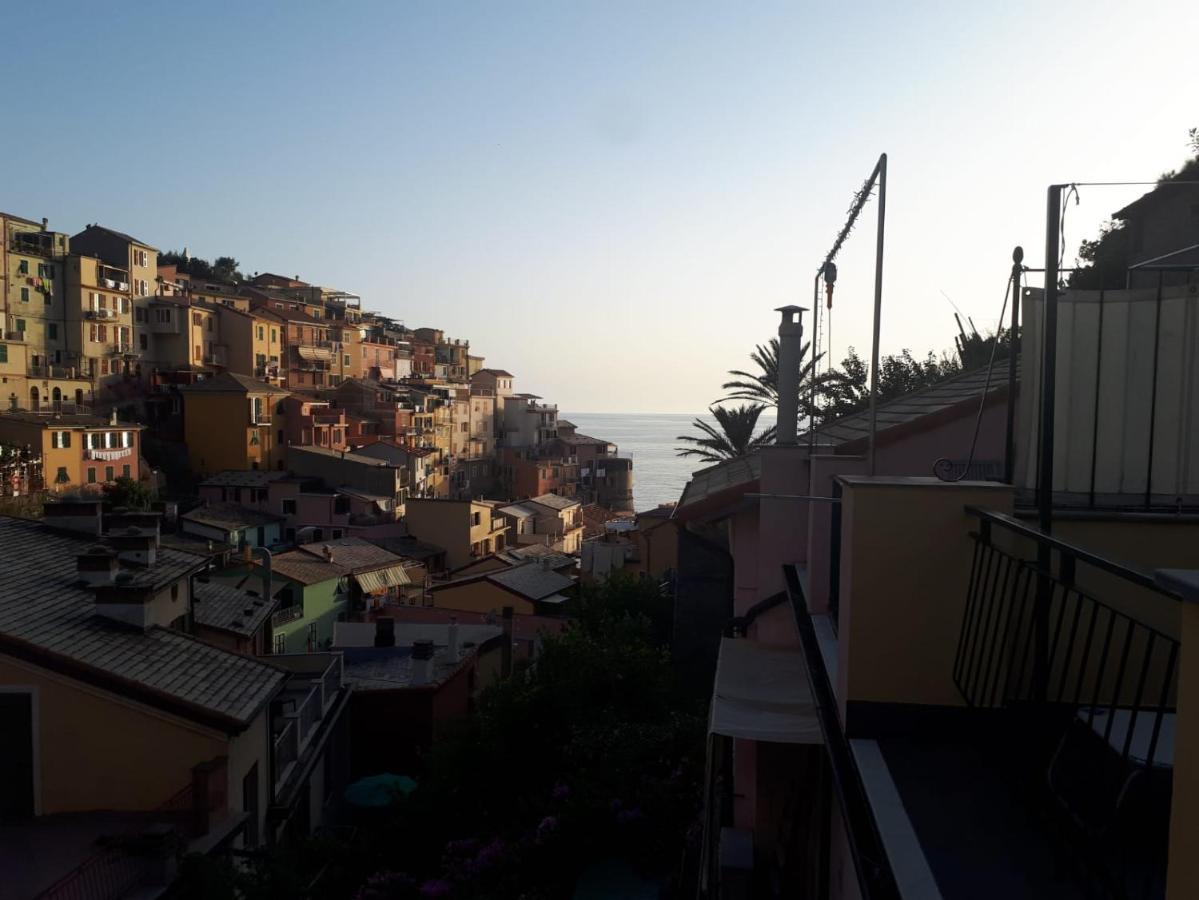 Il Cavalluccio Marino Manarola Esterno foto